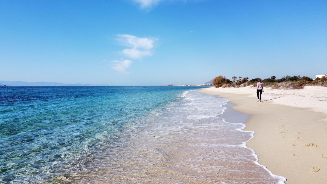 Studios Vrettos Beachfront Hotel Pláka Kültér fotó